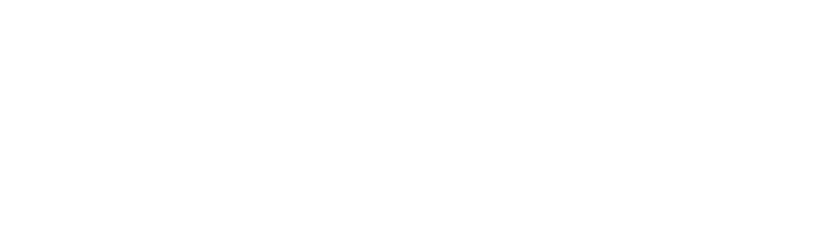 Boltize